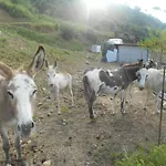 马加拉别墅